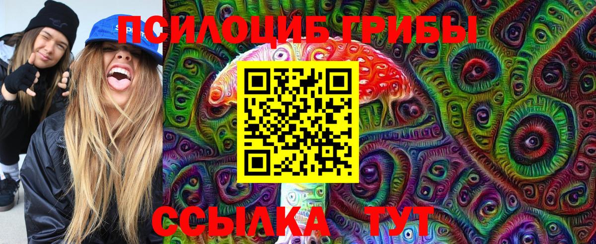Галлюциногенные грибы мицелий  Вход с VPN  где продают   Сызрань 